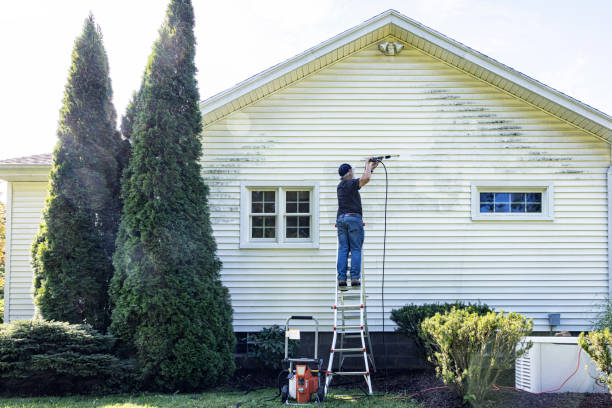 Best Roof Pressure Washing  in Atlantis, FL