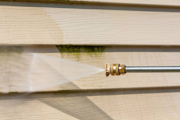 Best Roof Pressure Washing  in Atlantis, FL